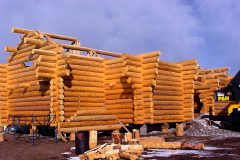 Dool chink style log shell Laramie Wyoming custom home builder handcrafted (4) - Deerwood Log Homes - Custom Built Homes and Cabins - Laramie, Wyoming and The Centennial Valley - deer-wood.com - (307) 742-6554