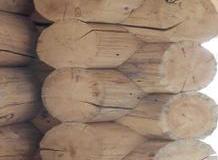 burton_log_detail