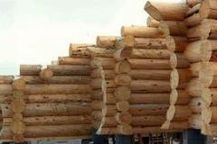 burton_shell_log_yard_5