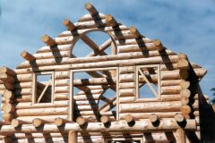 Holt Swedish cope log shell Centennial Wyoming custom home builder handcrafted (1) - Deerwood Log Homes - Custom Built Homes and Cabins - Laramie, Wyoming and The Centennial Valley - deer-wood.com - (307) 742-6554