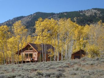 Star log timber frame post & beam hybrid Centennial Wyoming custom handcrafted home builder (1) - Deerwood Log Homes - Custom Built Homes and Cabins - Laramie, Wyoming and The Centennial Valley - deer-wood.com - (307) 742-6554