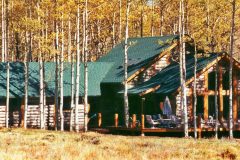 Bloom log timber frame post & beam hybrid Centennial Wyoming custom handcrafted home builder (5) - Deerwood Log Homes - Custom Built Homes and Cabins - Laramie, Wyoming and The Centennial Valley - deer-wood.com - (307) 742-6554